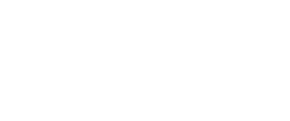 Swan logo Swan logo