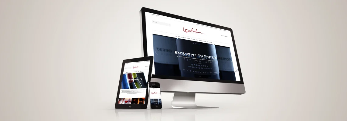 Website Design