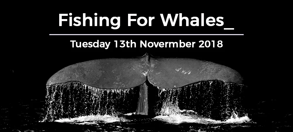 fishing for whales sales and marketing