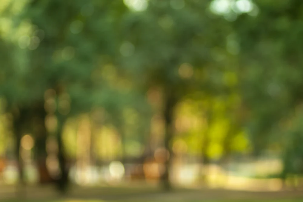A blurry image demonstrating what is image quality and how to increase the resolution of an image. 