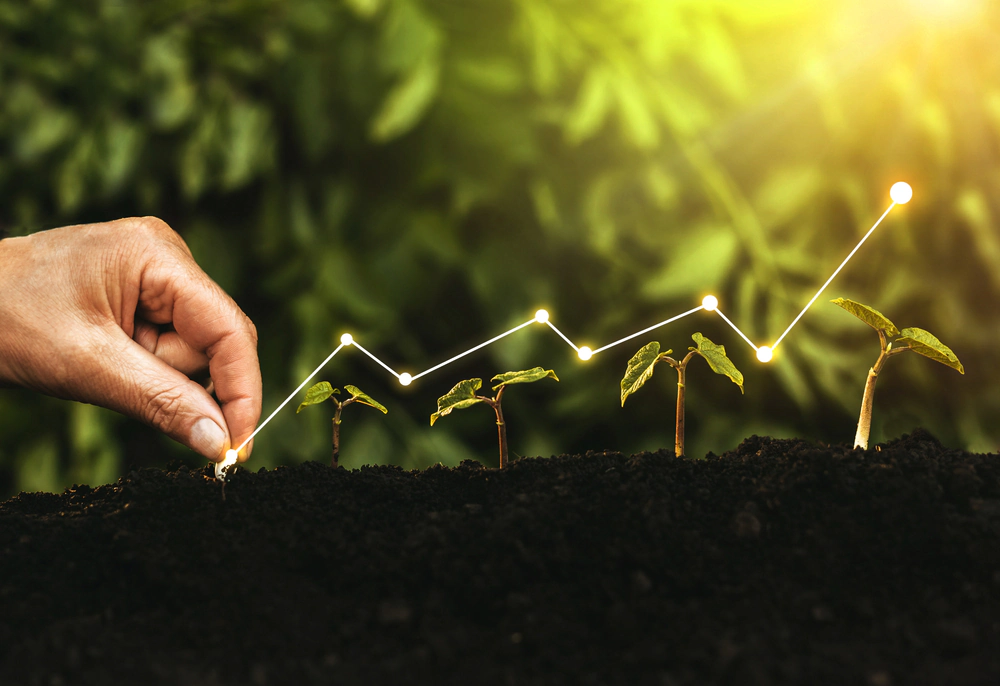 Hand planting a seedling in soil beside a rising growth line over young plants