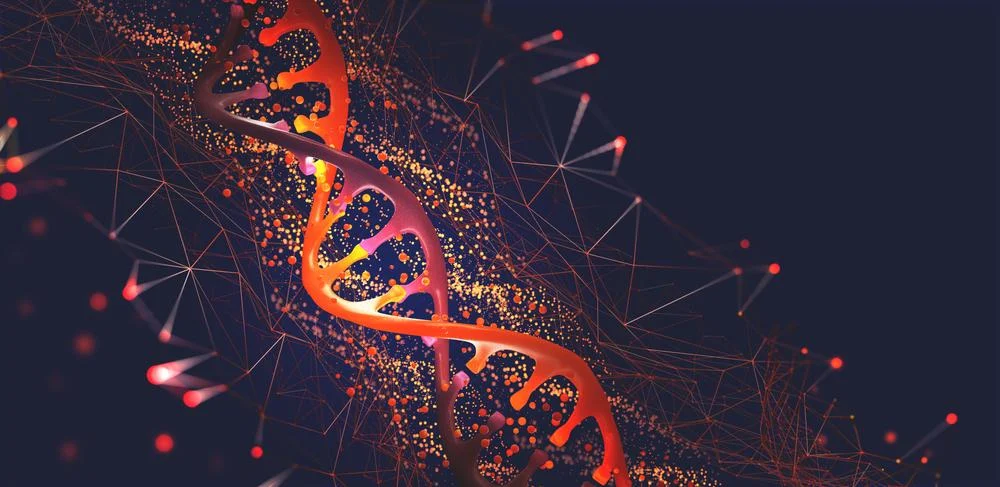 An illustration of a DNA helix.
