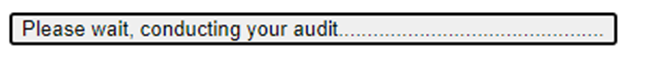 Form button reading 'Please wait, conducting your audit' followed by a long trail of dots